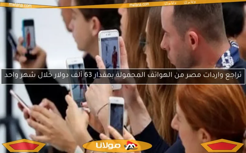 تراجع واردات مصر من الهواتف المحمولة بمقدار 63 ألف دولار خلال شهر واحد