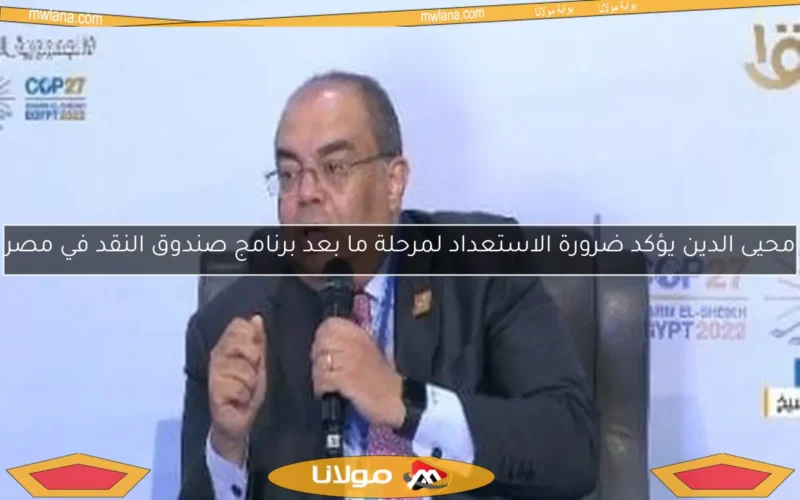 محيى الدين يؤكد ضرورة الاستعداد لمرحلة ما بعد برنامج صندوق النقد في مصر