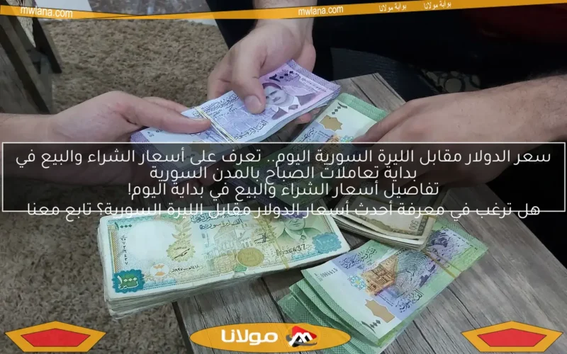 سعر الدولار مقابل الليرة السورية اليوم.. تعرف على أسعار الشراء والبيع في بداية تعاملات الصباح بالمدن السورية

هل ترغب في معرفة أحدث أسعار الدولار مقابل الليرة السورية؟ تابع معنا تفاصيل أسعار الشراء والبيع في بداية اليوم!