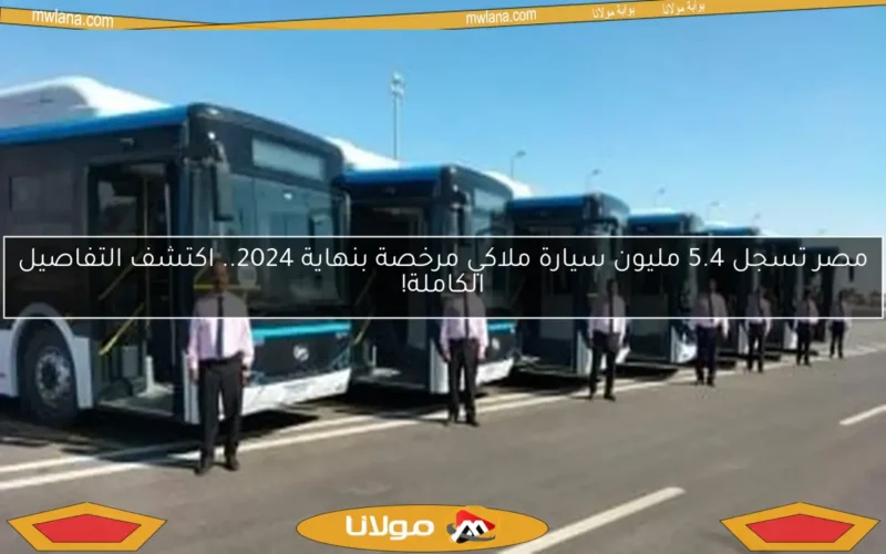 مصر تسجل 5.4 مليون سيارة ملاكي مرخصة بنهاية 2024.. اكتشف التفاصيل الكاملة!