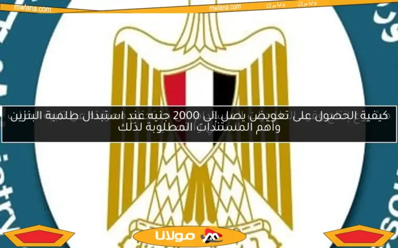 مشروع إنتاج وقود الطائرات المستدام: كل ما تحتاج معرفته عن تلبية الطلب المحلي والتصدير