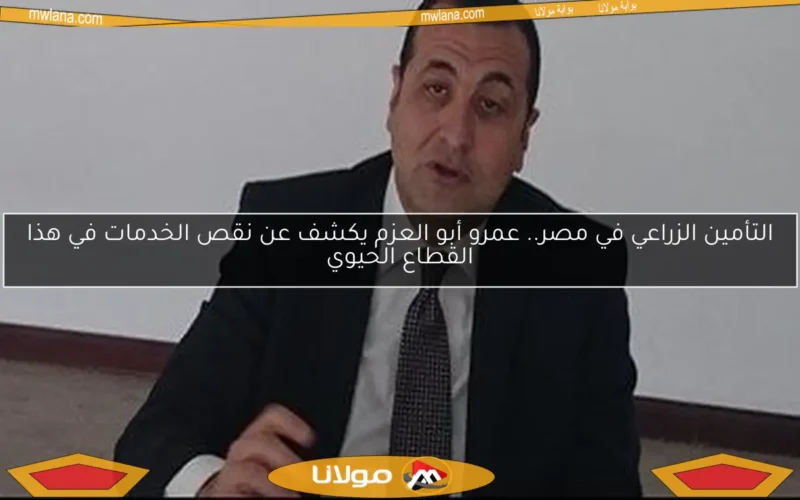 التأمين الزراعي في مصر.. عمرو أبو العزم يكشف عن نقص الخدمات في هذا القطاع الحيوي