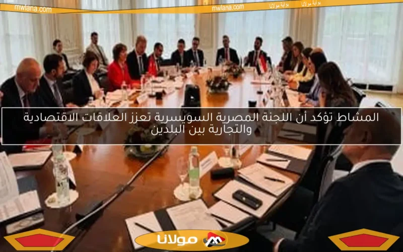 المشاط تؤكد أن اللجنة المصرية السويسرية تعزز العلاقات الاقتصادية والتجارية بين البلدين