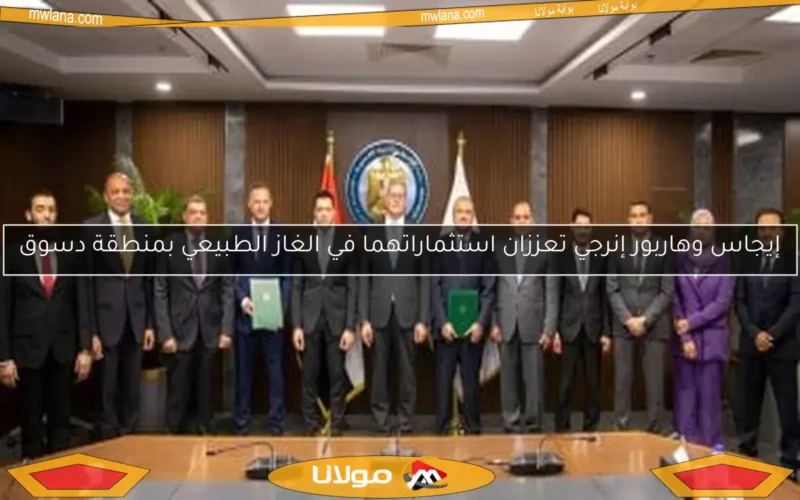 إيجاس وهاربور إنرجي تعززان استثماراتهما في الغاز الطبيعي بمنطقة دسوق