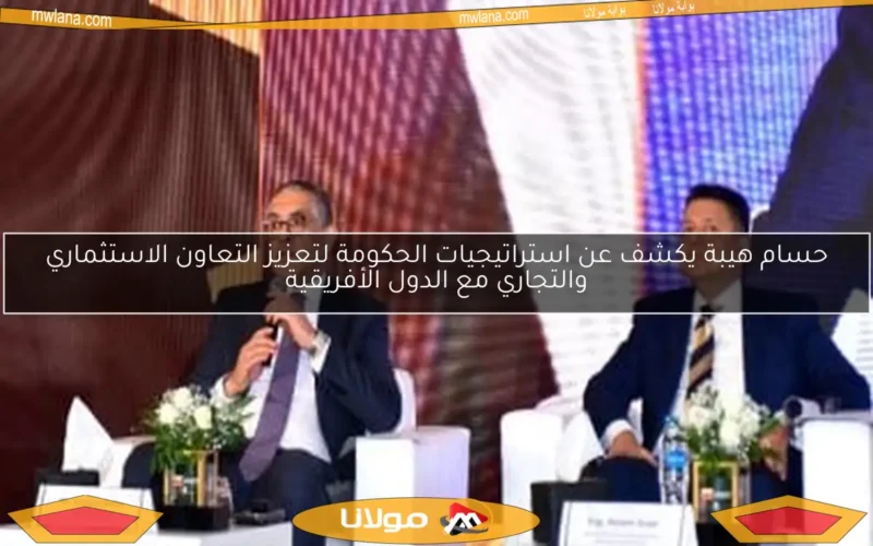 حسام هيبة يكشف عن استراتيجيات الحكومة لتعزيز التعاون الاستثماري والتجاري مع الدول الأفريقية