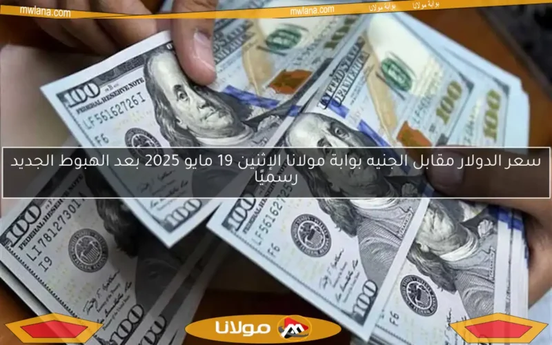 سعر الدولار مقابل الجنيه بوابة مولانا الإثنين 19 مايو 2025 بعد الهبوط الجديد رسميًا