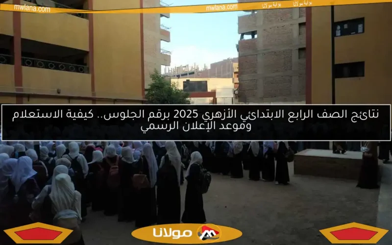 نتائج الصف الرابع الابتدائي الأزهري 2025 برقم الجلوس.. كيفية الاستعلام وموعد الإعلان الرسمي