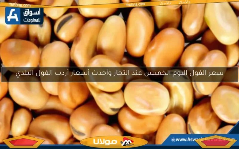 سعر الفول اليوم الخميس عند التجار وأحدث أسعار أردب الفول البلدي