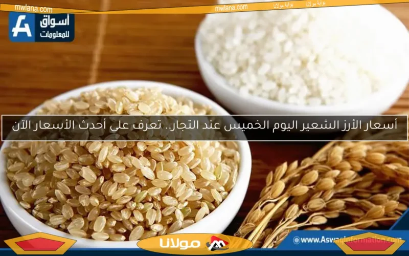 أسعار الأرز الشعير اليوم الخميس عند التجار.. تعرف على أحدث الأسعار الآن