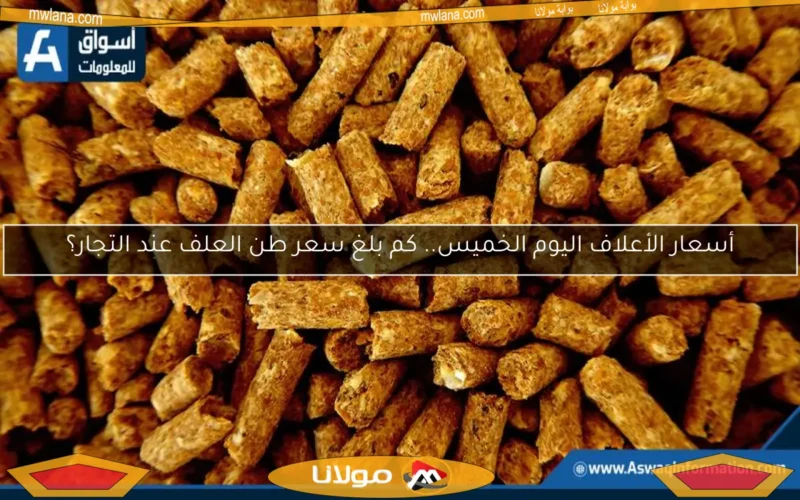 أسعار الأعلاف اليوم الخميس.. كم بلغ سعر طن العلف عند التجار؟