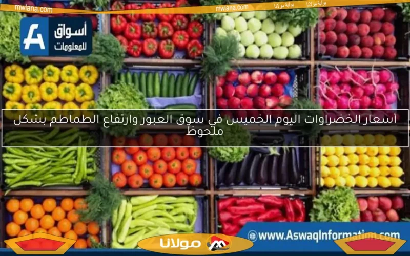أسعار الخضراوات اليوم الخميس في سوق العبور وارتفاع الطماطم بشكل ملحوظ
