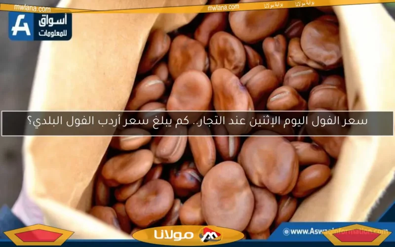 سعر الفول اليوم الإثنين عند التجار.. كم يبلغ سعر أردب الفول البلدي؟