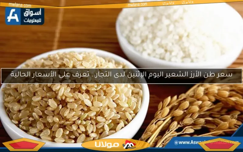 سعر طن الأرز الشعير اليوم الإثنين لدى التجار.. تعرف على الأسعار الحالية