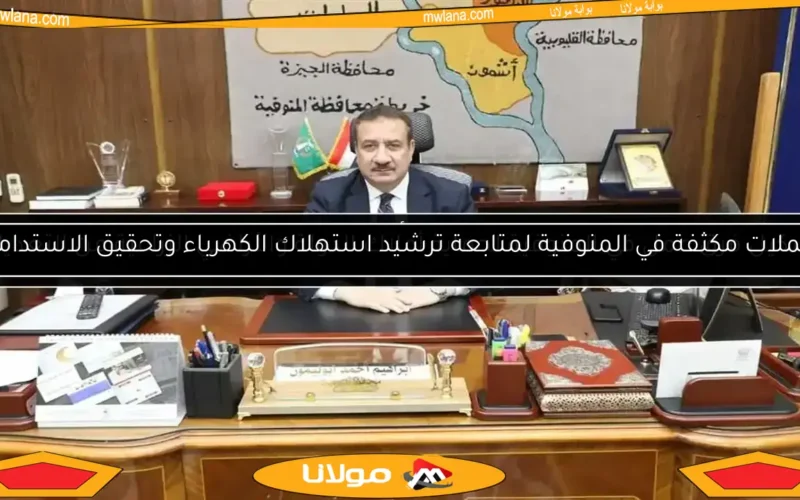 حملات مكثفة في المنوفية لمتابعة ترشيد استهلاك الكهرباء وتحقيق الاستدامة