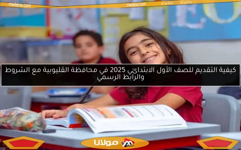 كيفية التقديم للصف الأول الابتدائي 2025 في محافظة القليوبية مع الشروط والرابط الرسمي