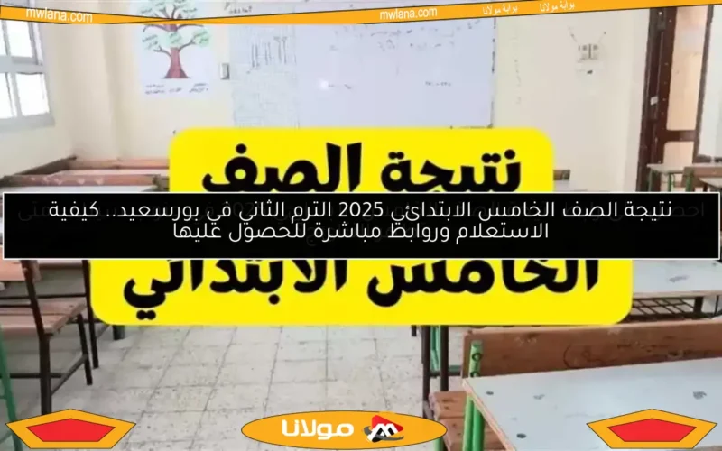 احصل على رابط نتيجة الصف الخامس الابتدائي 2025 في جنوب سيناء.. متى تظهر النتائج؟