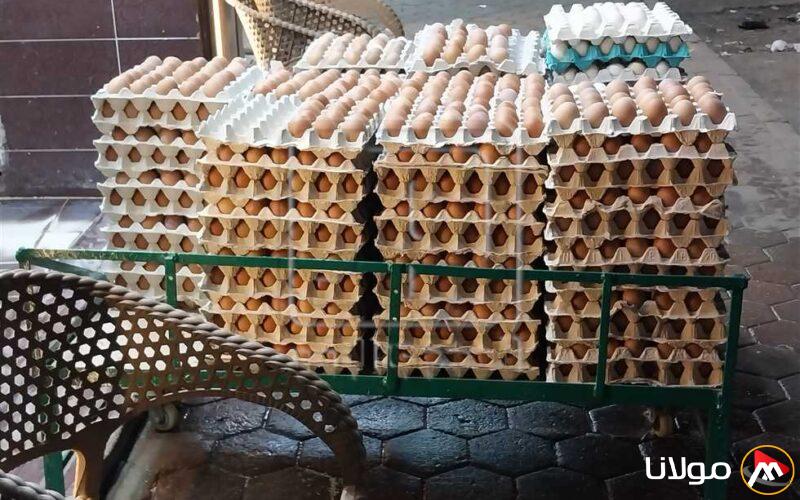 أسعار الفراخ البيضاء وكرتونة البيض في دمياط غدًا.. تعرف على التفاصيل!