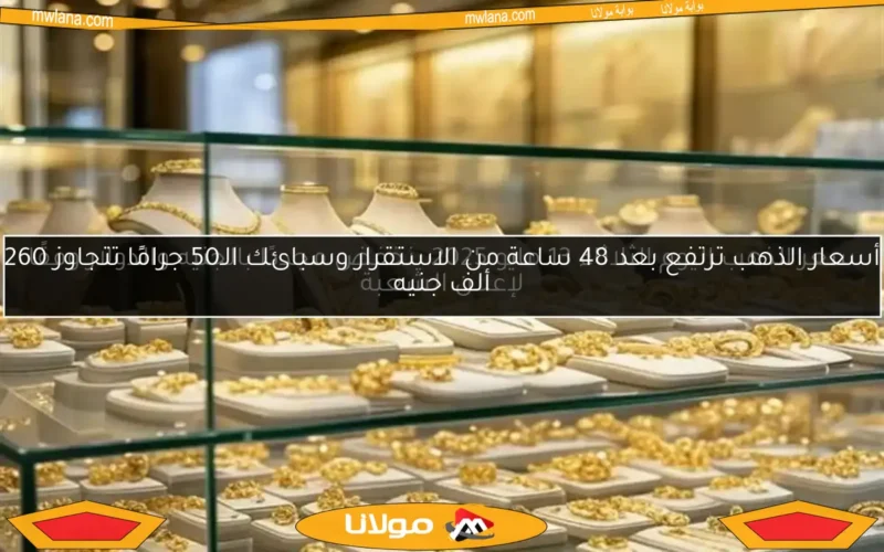 أسعار الذهب ترتفع بعد 48 ساعة من الاستقرار وسبائك الـ50 جرامًا تتجاوز 260 ألف جنيه