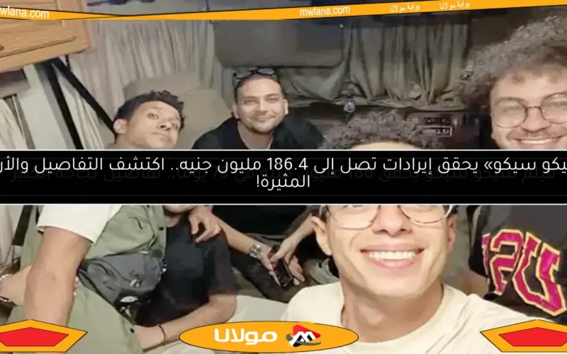 فيلم سيكو سيكو يحقق 186 مليون جنيه في 73 يومًا.. تفاصيل نجاحه الكبير