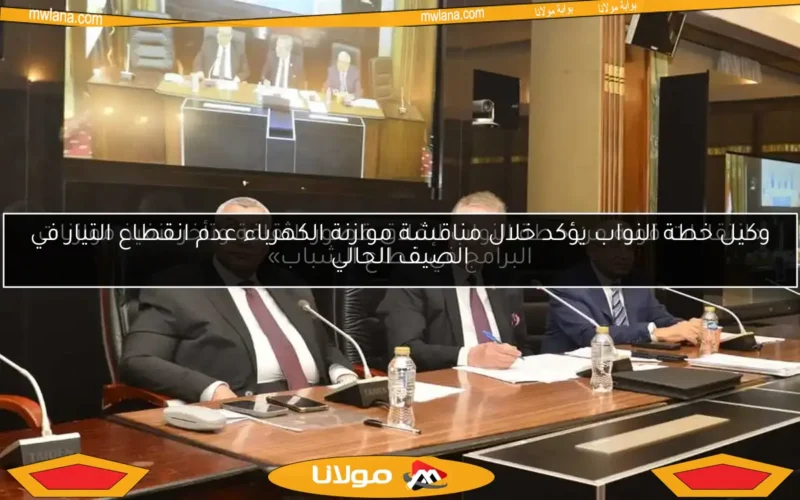 «انتقادات قوية من خطة النواب لإغلاق قصور الثقافة وتأخر تنفيذ موازنات البرامج في قطاع الشباب»