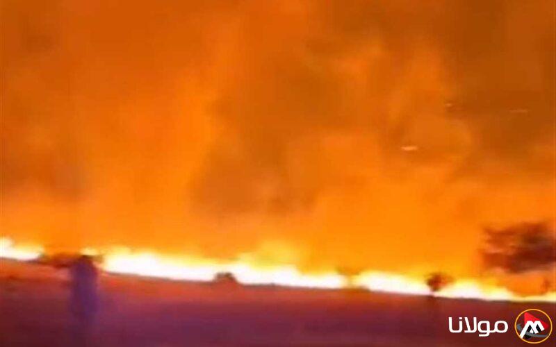 حرائق إسرائيل تشتعل الآن.. مشاهد مرعبة وحالة طوارئ مع تأكيد المسؤولين: الوضع خارج السيطرة (فيديو)