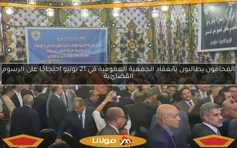 المحامون يطالبون بانعقاد الجمعية العمومية في 21 يونيو احتجاجًا على الرسوم القضائية