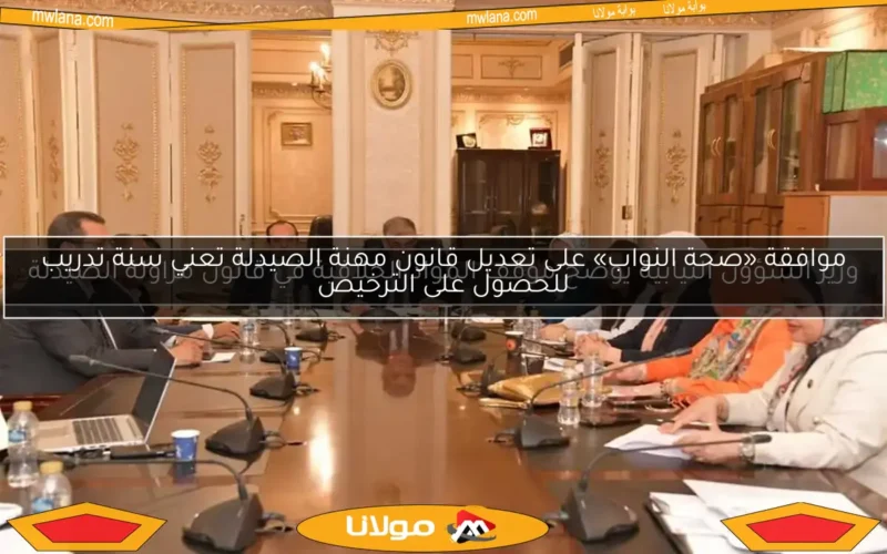 وزير الشؤون النيابية يوضح موقف المواد الخلافية في قانون مزاولة الصيدلة