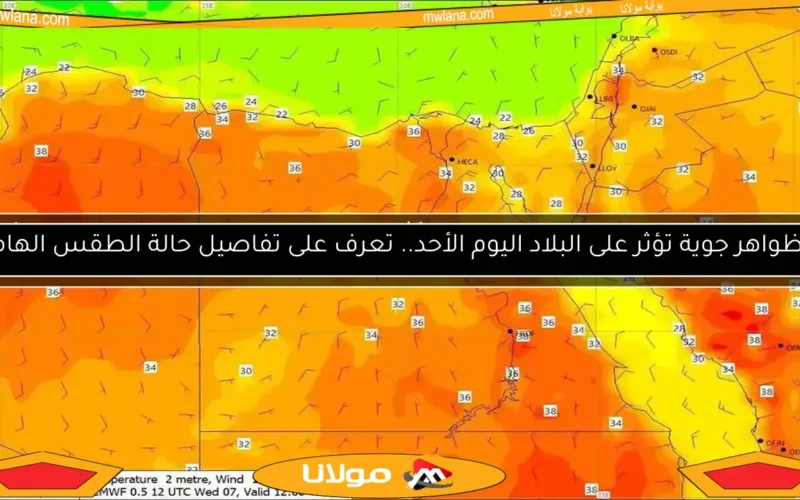 توقعات الطقس اليوم.. موجة حارة تؤثر على البلاد ودرجات الحرارة ترتفع بشكل ملحوظ