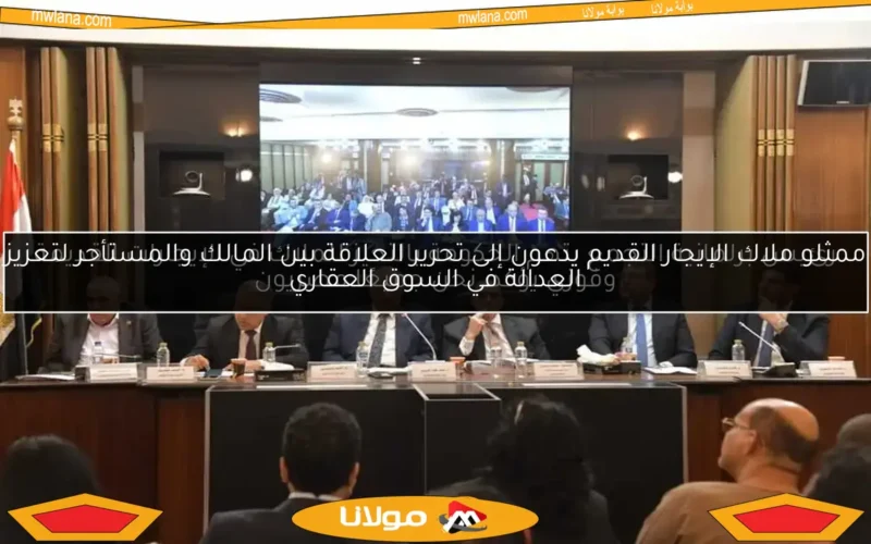 رئيس برلمانية التجمع يتهم الحكومة بالتحيز للملاك في الإيجارات القديمة وفوزي يؤكد: نحن جميعًا مصريون