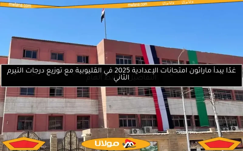 اكتشف موعد نتائج الصف الثالث الابتدائي 2025 في القليوبية مع جميع التفاصيل والرابط الهام