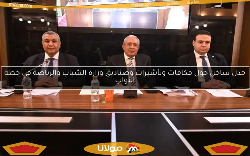 جدل ساخن حول مكافآت وتأشيرات وصناديق وزارة الشباب والرياضة في خطة النواب