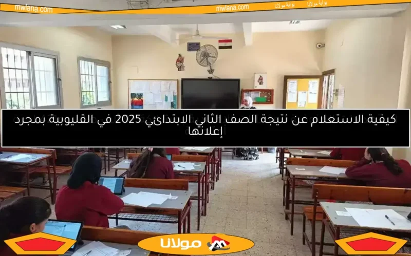 كيفية الاستعلام عن نتيجة الصف الثاني الابتدائي 2025 في القليوبية بمجرد إعلانها