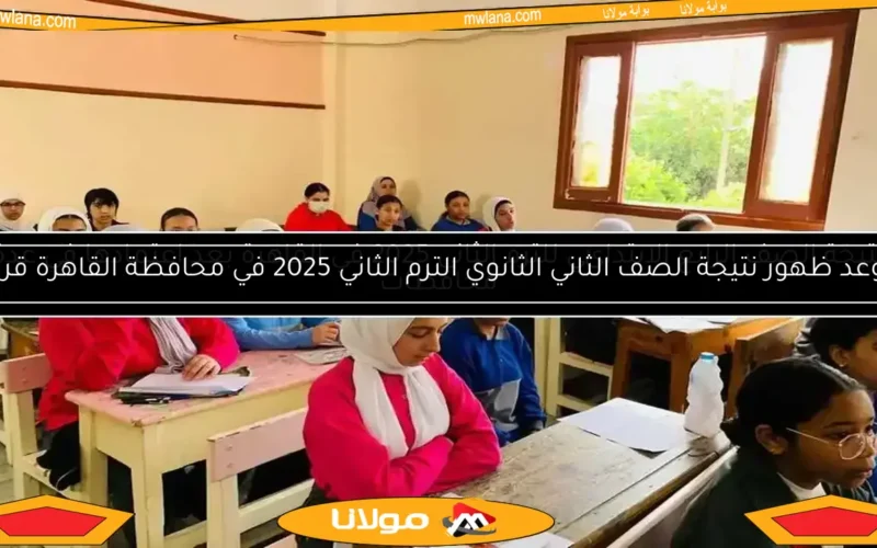نتائج الصف الأول الإعدادي للترم الثاني 2025 في الأقصر متاحة الآن!