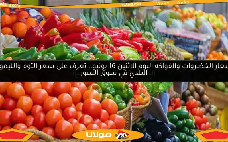 أسعار الخضروات والفواكه اليوم الاثنين 16 يونيو.. تعرف على سعر الثوم والليمون البلدي في سوق العبور