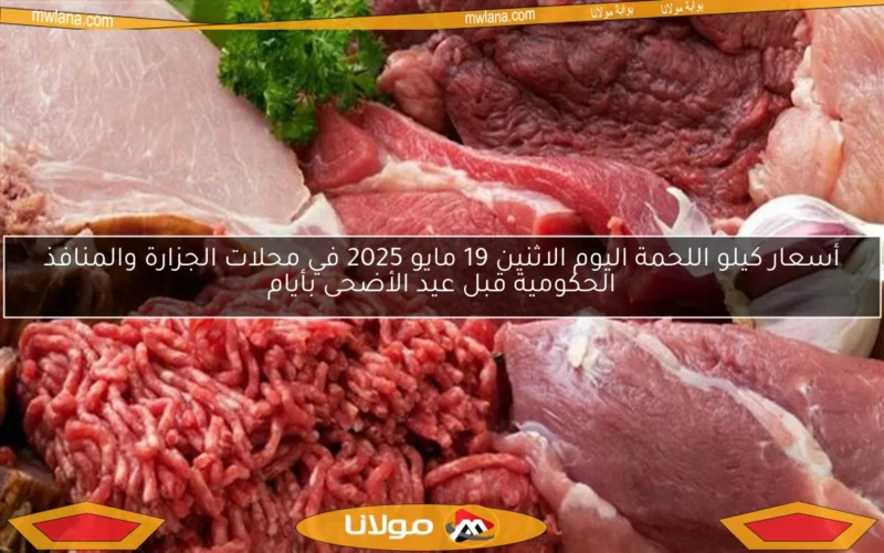 أسعار كيلو اللحمة اليوم الاثنين 19 مايو 2025 في محلات الجزارة والمنافذ الحكومية قبل عيد الأضحى بأيام