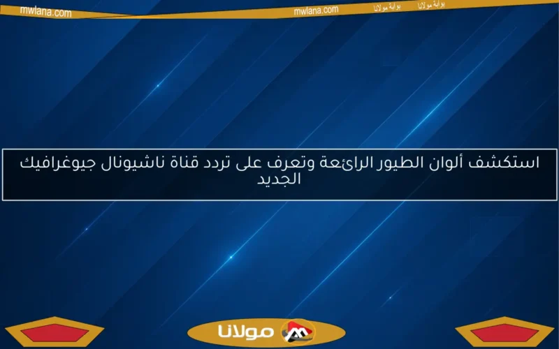 استكشف ألوان الطيور الرائعة وتعرف على تردد قناة ناشيونال جيوغرافيك الجديد