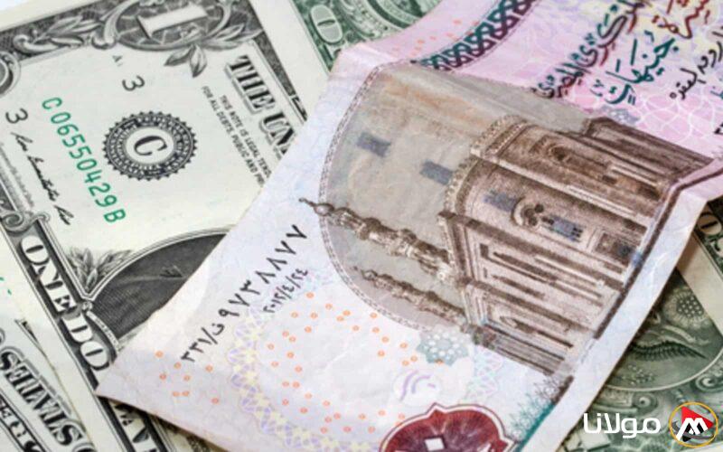 سعر الدولار اليوم مقابل الجنيه المصري 2 مايو يشهد ارتفاعًا وسط تحديات الاقتصاد المحلي