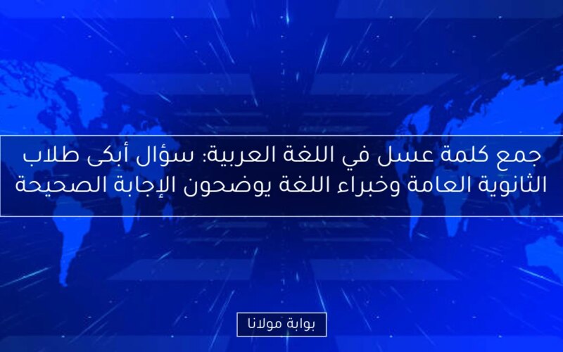 جمع كلمة عسل في اللغة العربية: سؤال أبكى طلاب الثانوية العامة وخبراء اللغة يوضحون الإجابة الصحيحة