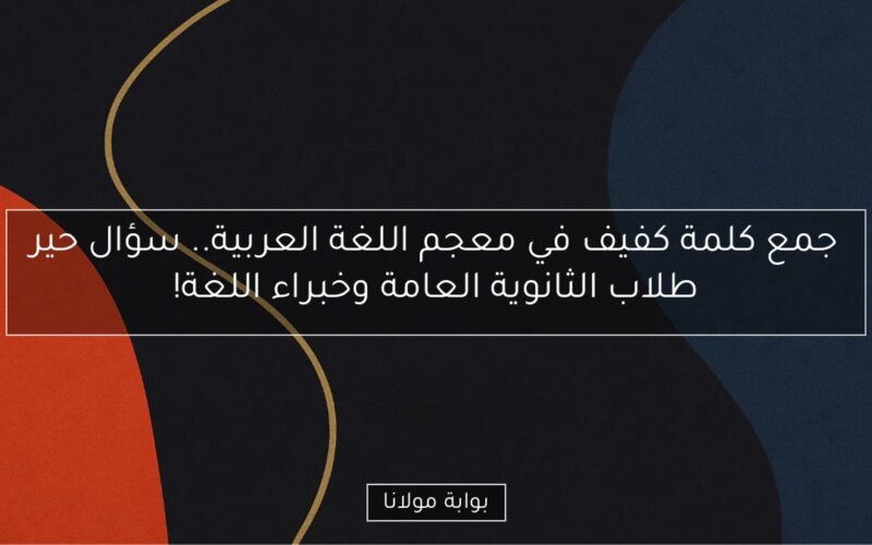جمع كلمة كفيف في معجم اللغة العربية.. سؤال حير طلاب الثانوية العامة وخبراء اللغة!