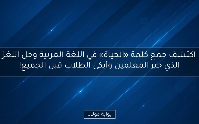 اكتشف جمع كلمة «الحياة» في اللغة العربية وحل اللغز الذي حير المعلمين وأبكى الطلاب قبل الجميع!