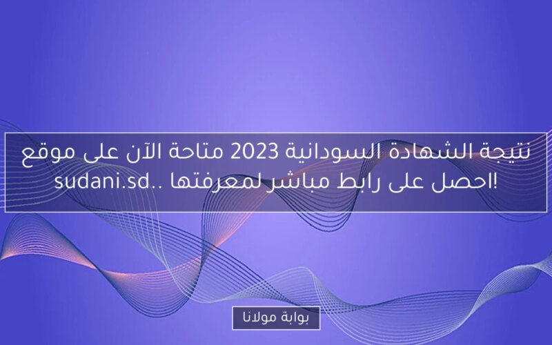نتيجة الشهادة السودانية 2023 متاحة الآن على موقع sudani.sd.. احصل على رابط مباشر لمعرفتها!