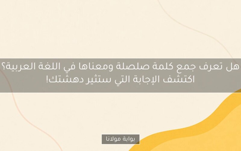 هل تعرف جمع كلمة صلصلة ومعناها في اللغة العربية؟ اكتشف الإجابة التي ستثير دهشتك!