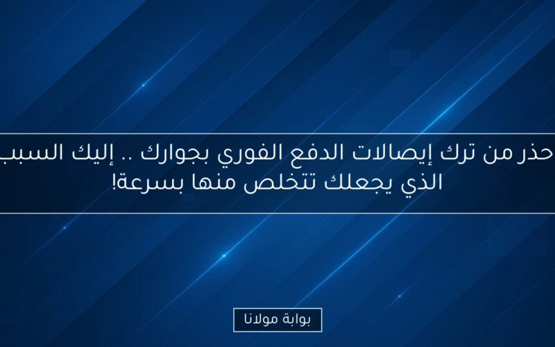 احذر من ترك إيصالات الدفع الفوري بجوارك .. إليك السبب الذي يجعلك تتخلص منها بسرعة!