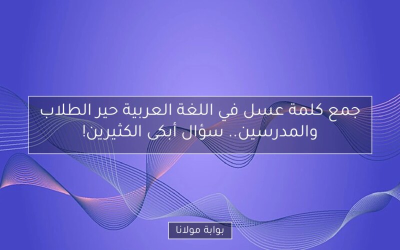 جمع كلمة عسل في اللغة العربية حير الطلاب والمدرسين.. سؤال أبكى الكثيرين!