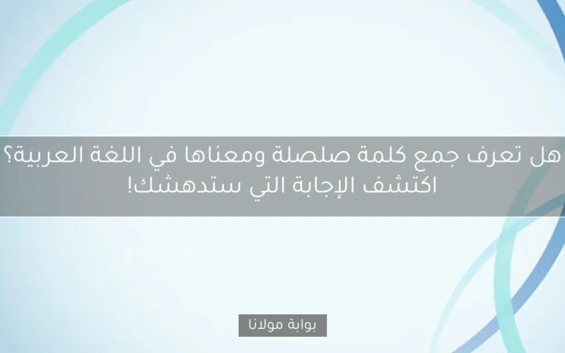 هل تعرف جمع كلمة صلصلة ومعناها في اللغة العربية؟ اكتشف الإجابة التي ستدهشك!