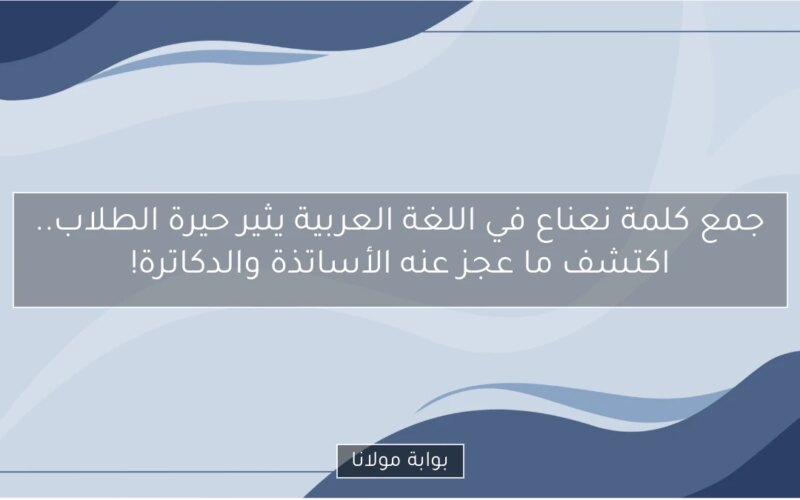 جمع كلمة نعناع في اللغة العربية يثير حيرة الطلاب.. اكتشف ما عجز عنه الأساتذة والدكاترة!
