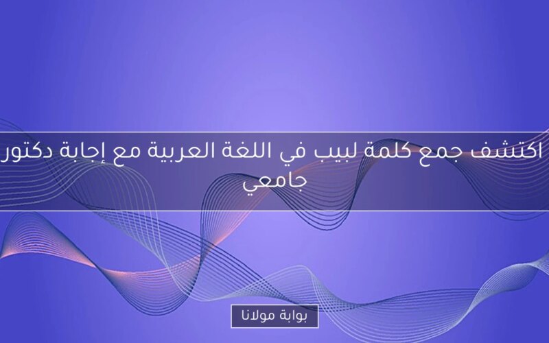 اكتشف جمع كلمة لبيب في اللغة العربية مع إجابة دكتور جامعي