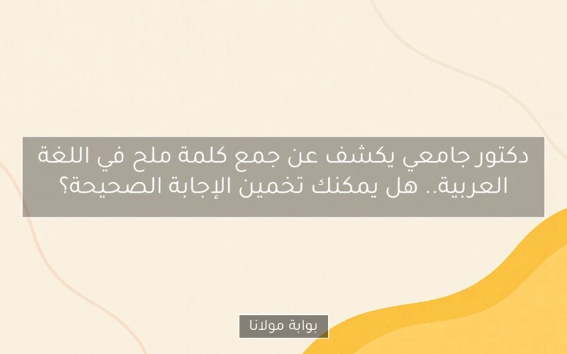دكتور جامعي يكشف عن جمع كلمة ملح في اللغة العربية.. هل يمكنك تخمين الإجابة الصحيحة؟