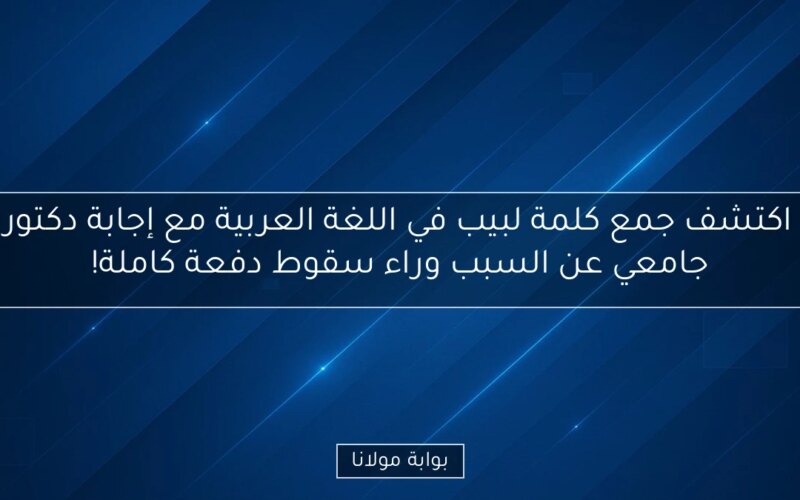 اكتشف جمع كلمة لبيب في اللغة العربية مع إجابة دكتور جامعي عن السبب وراء سقوط دفعة كاملة!
