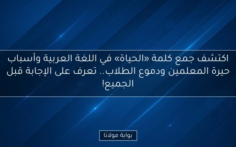 اكتشف جمع كلمة «الحياة» في اللغة العربية وأسباب حيرة المعلمين ودموع الطلاب.. تعرف على الإجابة قبل الجميع!